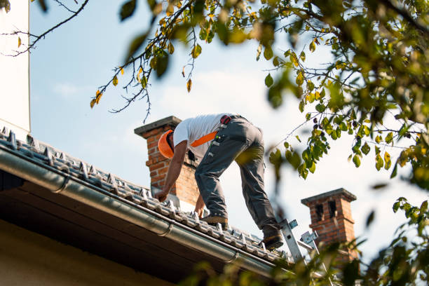 Best Gutter Installation and Roofing  in Seven Corners, VA